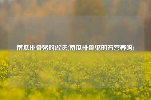 南瓜排骨粥的做法(南瓜排骨粥的有营养吗)