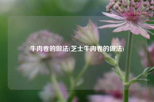 牛肉卷的做法(芝士牛肉卷的做法)