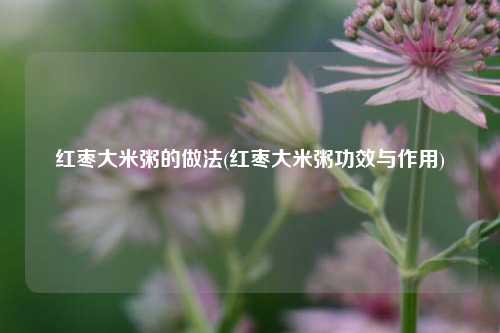 红枣大米粥的做法(红枣大米粥功效与作用)