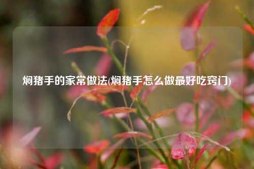 焖猪手的家常做法(焖猪手怎么做最好吃窍门)