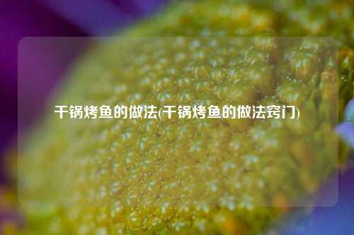 干锅烤鱼的做法(干锅烤鱼的做法窍门)