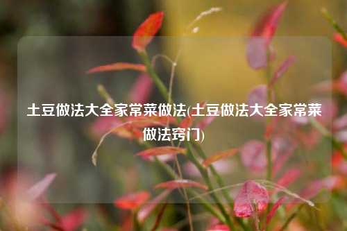 土豆做法大全家常菜做法(土豆做法大全家常菜做法窍门)
