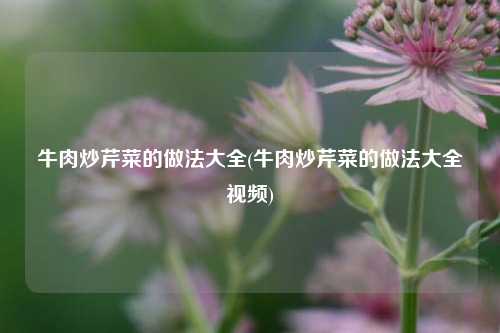 牛肉炒芹菜的做法大全(牛肉炒芹菜的做法大全视频)