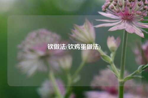 钦做法(钦鸡蛋做法)