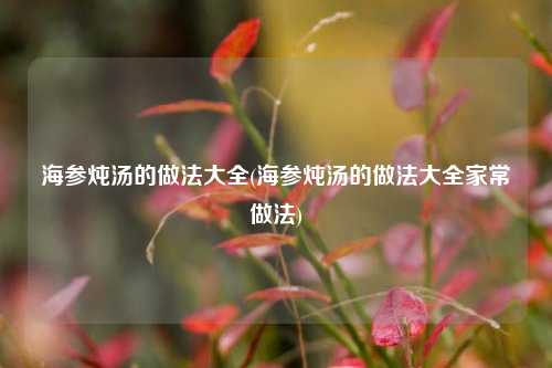海参炖汤的做法大全(海参炖汤的做法大全家常做法)