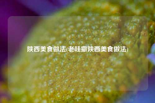 陕西美食做法(老哇撒陕西美食做法)