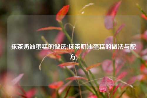抹茶奶油蛋糕的做法(抹茶奶油蛋糕的做法与配方)