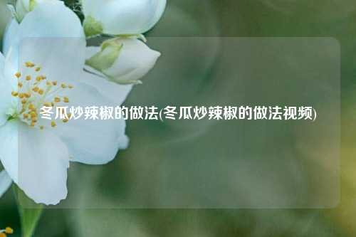 冬瓜炒辣椒的做法(冬瓜炒辣椒的做法视频)