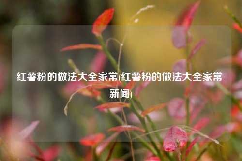 红薯粉的做法大全家常(红薯粉的做法大全家常 新闻)
