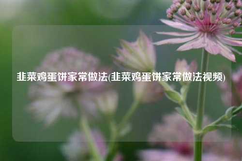 韭菜鸡蛋饼家常做法(韭菜鸡蛋饼家常做法视频)