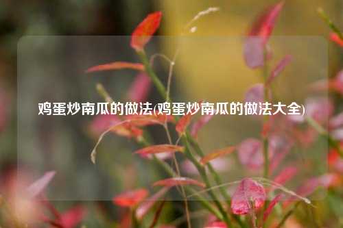鸡蛋炒南瓜的做法(鸡蛋炒南瓜的做法大全)