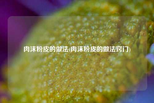 肉沫粉皮的做法(肉沫粉皮的做法窍门)