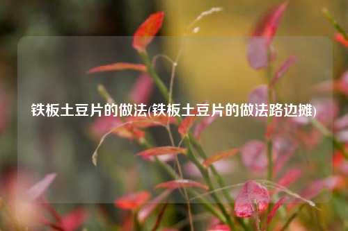 铁板土豆片的做法(铁板土豆片的做法路边摊)